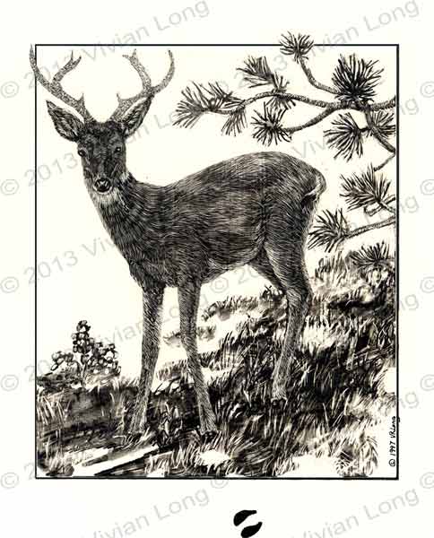 Image of painting entitled: Deer